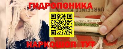 гидропоника Обнинск