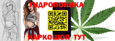 соль ск Обь