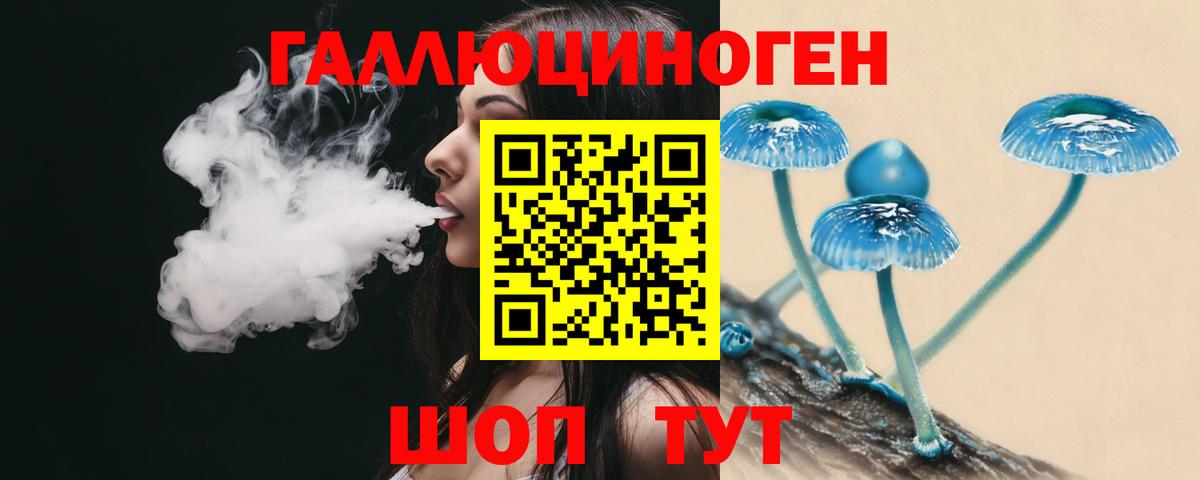Галлюциногенные грибы Psilocybe Холмск
